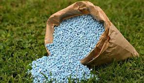 Fertilizers & Manures