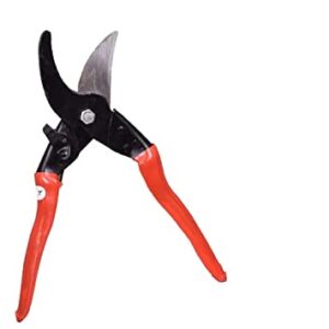 Garden Shears