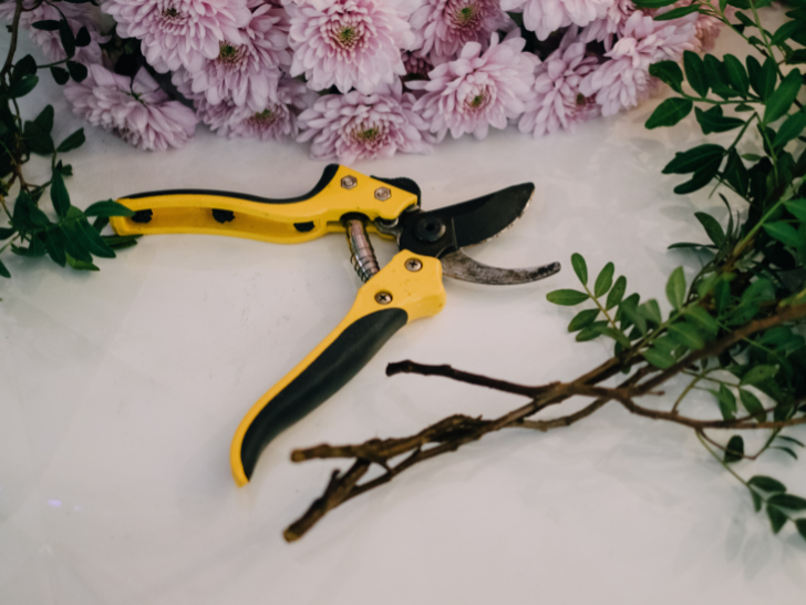 Pruning shear