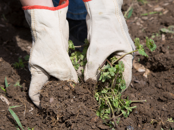 Gardening hand gloves